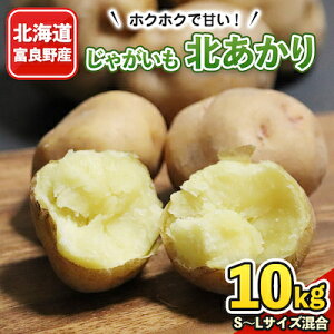 yӂ邳Ɣ[ŁzkCxǖY Ⴊ k 10kg(STCYLTCY)y1262356z