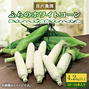 yӂ邳Ɣ[Łzxǖ zCgR[4.2kgȏ(12`14{)XC[gR[@Ƃ낵yzsnFzy1265609z