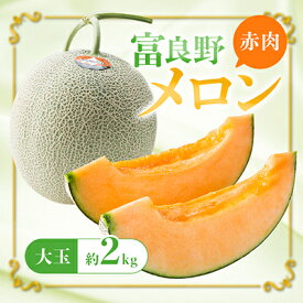 【ふるさと納税】特選 富良野メロン(赤肉)　1玉(大玉・約2kg)【1272070】