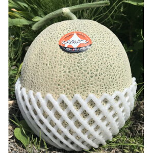 yӂ邳Ɣ[Łzy2026NzI@xǖ상 (ԓ)@4ʂ5(唠@v8kg)y1272080z