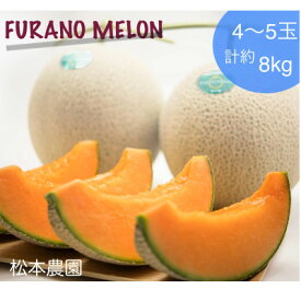 【ふるさと納税】【2026年発送】富良野メロン『厳選』4～5玉入(計約8kg)_ メロン めろん 富良野メロン 赤肉 フルーツ くだもの 果物 ふるーつ 青果 北海道 富良野 産直 産地直送 甘い 高糖度 贈答 ギフト 常温 季節限定 人気 【1286288】