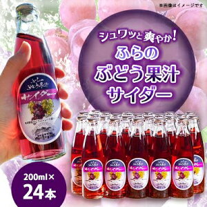 yӂ邳Ɣ[Łzӂ̂Ԃǂʏ`TC_[ 200ml×24{y1289282z