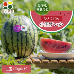 yӂ邳Ɣ[Łzy2026ĔzЂƂ肶ߏʂ@1ʁyzsnFEꌧzy1318921z