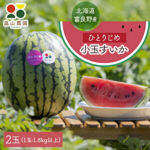 yӂ邳Ɣ[Łzy2026ĔzЂƂ肶ߏʂ@2ʁyzsnFEꌧzy1318922z