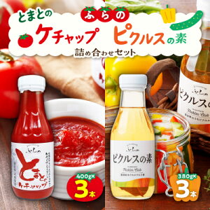 yӂ邳Ɣ[Łzylߍ킹Zbgzӂ Ƃ܂Ƃ̃P`bv 400g×3{+sNX̑f@380g×3{y1325628z