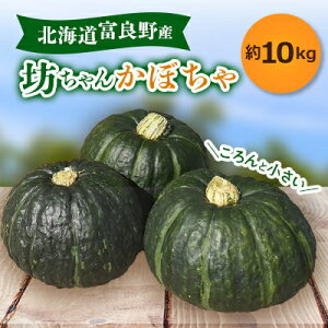 yӂ邳Ɣ[Łzys\@ߘa7N9{蔭\zxǖYV񂩂ڂ I 10kgy1333801z