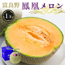 【ふるさと納税】糖度15度 富良野鳳凰メロン(赤肉)　1玉　1.8～2kg(2Lサイズ)_メロン めろん 富良野メロン 富良野めろん 北海道 富良野市 果物 フルーツ くだもの ふるーつ 青果 果実 甘い 旬 専門店 希少 品種 ギフト 贈答 鳳凰 糖度 定番 プレゼント 【1403745】
