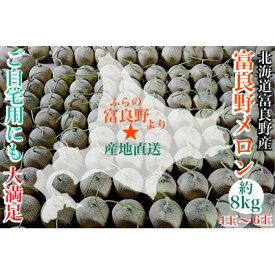 【ふるさと納税】富良野メロン(赤肉)ご自宅用にも　4玉～6玉　計約8kg【1405316】