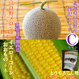 【ふるさと納税】「贅沢セットC」北海道富良野産赤肉メロン 1玉/とうもろこし4本詰め合わせ_ メロン 富良野メロン とうもろこし コーン 赤肉 フルーツ 果物 くだもの ふるーつ 野菜 ギフト 贈答 産直 北海道 富良野 セット【配送不可地域：離島】【1405386】