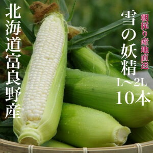 yӂ邳Ɣ[Łẑ Ƃ낱u̗dvGi kCxǖY L`2L 10{_ Ƃ낱 R[ gERV  zCgR[ ̂ lC Yn Â   