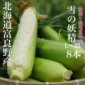 yӂ邳Ɣ[Łẑ蔒Ƃ낱u̗dvkCxǖY L`2L 8{_ Ƃ낱 R[ gERV  zCgR[ ̂ lC Yn Â    