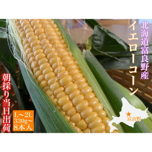 yӂ邳Ɣ[Łẑ Ƃ낱 kCxǖY L`2L 8{yzsnFzy1405987z