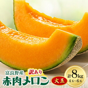 yӂ邳Ɣ[Łzy2026Nz󂠂 ƒp xǖ상 ԓ8kg(4ʁ`6ʓ)y1398759z