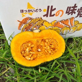 【ふるさと納税】2026年　富良野産　くりゆたか　かぼちゃ　10kg【1425899】