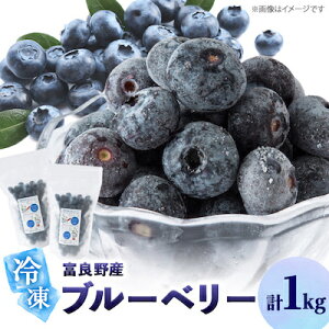 yӂ邳Ɣ[Łz2025NxǖY 嗱 Ⓚu[x[ 500g×2_ u[x[ 嗱 ʕ t[c  Ⓚ xǖ kC lC    Mtg  500g Zbg 