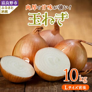 yӂ邳Ɣ[ŁzkCxǖY@ʂ˂ LTCYO 10kgy1441749z