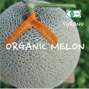 yӂ邳Ɣ[ŁzI[KjbN 2ʓ蔠 3.8kgȏ ԓy2026N7{菇zy1445852z