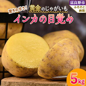 yӂ邳Ɣ[Łzy2025Ns\z̃WKC@CJ̖ڊo 5kg kC xǖYy1450174z