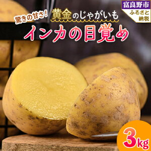 yӂ邳Ɣ[Łzy2025Ns\zႪ@CJ̖ڊo 3kgy1450177z
