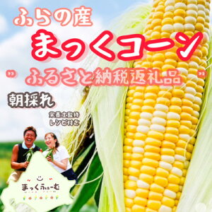 yӂ邳Ɣ[Łzys\zy8菇zkC@xǖY@܂R[(XC[gR[)10{+1{t!yzsnFzy1458329z