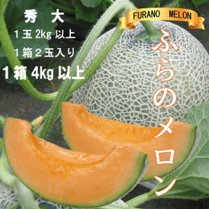 yӂ邳Ɣ[Łzӂ̃ԓ@G2kgȏ×2(v4kgȏ)_  ߂ ԓ ʕ  t[c ӂ[  ӂ̃ xǖ kC Yn Y lC  