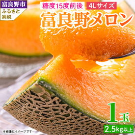 【ふるさと納税】糖度15度前後 富良野メロン　4Lサイズ(2.5kg以上)　1玉入り【1468342】