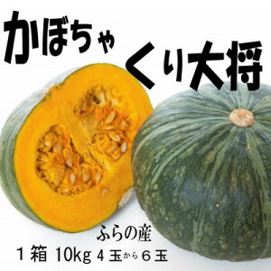 yӂ邳Ɣ[Łzy2026Ns\zyʁEԁzӂ̎Y@ڂ@110kg(叫Z)@y1473419z