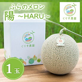 【ふるさと納税】【2026年発送】ふらのメロン「陽 ～HARU～」大玉(2.3kg以上)×1玉　(赤肉)富良野メロン_ メロン めろん 富良野メロン 赤肉 フルーツ くだもの 果物 ふるーつ 青果 北海道 富良野 産直 産地直送 甘い 高糖度 贈答 ギフト 常温 季節限定 人気 【1478649】