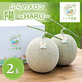 【ふるさと納税】ふらのメロン「陽 ～HARU～」大玉(2.3kg以上)×2玉　(赤肉)富良野メロン_ メロン めろん 富良野メロン 赤肉 フルーツ くだもの 果物 ふるーつ 青果 北海道 富良野 産直 産地直送 甘い 高糖度 贈答 ギフト 常温 季節限定 人気 【1478650】