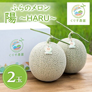 yӂ邳Ɣ[Łzy2026Nzӂ̃uz `HARU`v(2.3kgȏ)×2ʁ@(ԓ)xǖ상_  ߂ xǖ상 ԓ t[c  ʕ ӂ[  kC xǖ 