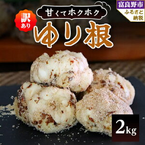 yӂ邳Ɣ[Łz2025Ns\y󂠂zkCxǖY 荪 2kgy1485400z