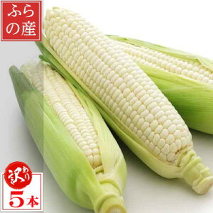 yӂ邳Ɣ[Łz2026Ns\@kCxǖY ŐHׂ锒Ƃ낱 sAzCg 󂠂 5{_ 󂠂 Ƃ낱 gERV R[ sAzCg Y kCY x