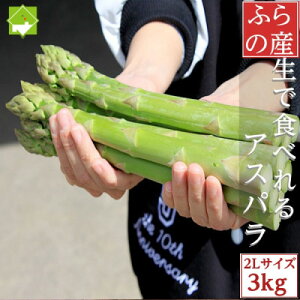 yӂ邳Ɣ[Łz2026Ns\@uvŐHׂ!kCxǖY@O[AXp@3kg(ɑ2LTCY)yzsnFzy1499805z