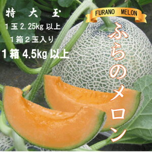 yӂ邳Ɣ[Łzӂ̃@ԓ@ʁ@12.25kgȏ@12ʓ(v4.5kgȏ)_  ߂ xǖ상 ԓ  t[c  ʕ ӂ[  kC xǖ Y Yn