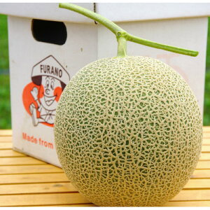 yӂ邳Ɣ[Łzy2026N@s\zxǖ상1.3kg`1,5kg1ʓy1511792z
