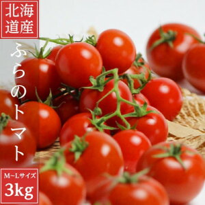 yӂ邳Ɣ[Łz2026Ns\ n@xǖg}g@(~jg}g)@3kgyzsnFzy1522223z