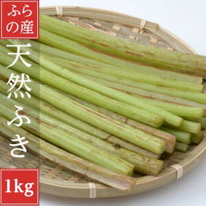 【ふるさと納税】2026年先行予約 北海道富良野産 天然物 蕗 (ふき)1kg【配送不可地域:離島】【1522299】