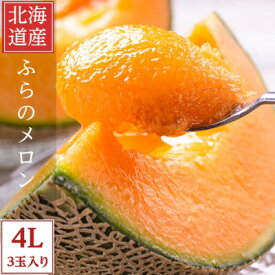 【ふるさと納税】糖度15度前後 富良野メロン　4Lサイズ(2.5kg以上)　3玉入り【1542474】