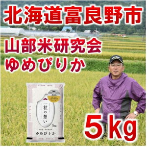 yӂ邳Ɣ[ŁzyŒցzߘa7NYs\񁟓A!kCxǖsY߂҂肩 5kgS3y4000354z