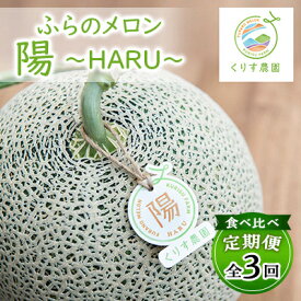【ふるさと納税】【発送月固定定期便】食べ比べ!ふらのメロン「陽 ～HARU～」大玉　1玉(赤肉)　富良野メロン全3回_ 定期便 メロン 果物 くだもの フルーツ 北海道 富良野 赤肉 大玉 富良野メロン 贈答 ギフト 送料無料 お取り寄せ 人気 おすすめ 【4013535】
