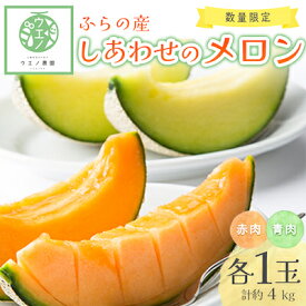 【ふるさと納税】【先行予約　2026年発送】ふらの産　しあわせのメロン(赤肉1玉・青肉1玉 計約4kg)_ メロン めろん 富良野メロン 富良野産 ふらの 北海道 甘い 赤肉 青肉 セット 2玉 食べ比べ フルーツ 果物 おやつ 【1254167】