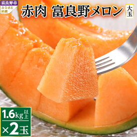【ふるさと納税】＼総合ランキング入賞！／_【TVで紹介されました!】富良野メロン赤肉　2玉(大玉)_ メロン ふらのメロン フルーツ 果物 くだもの 北海道 富良野市 富良野 ギフト プレゼント 人気 美味しい 赤肉 赤肉メロン 贈答 国産 産地直送 常温 おすすめ 【1257988】