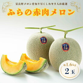 【ふるさと納税】ふらの赤肉メロン　1.6kg×2玉【配送不可地域：離島】【1296171】
