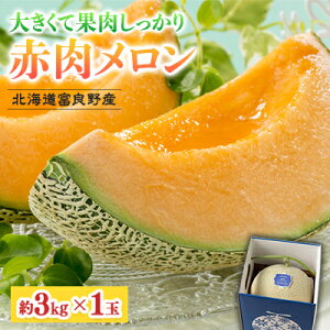 yӂ邳Ɣ[Łzy2026NzkCxǖY ԓ 1(3kg)@xǖ상_  ߂ t[c  ʕ ӂ[ xǖ kC xǖ상 ԓ Y Yn Mt