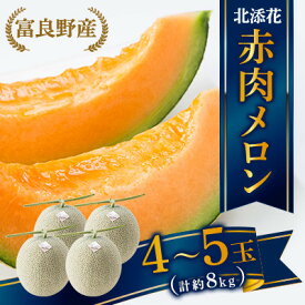 【ふるさと納税】【2026年6月下旬順次発送・先行予約】富良野産メロン　北添花(赤肉メロン4～5玉　計約8kg)【1251251】