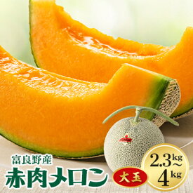 【ふるさと納税】メロン(1玉/2玉)【G1398748】