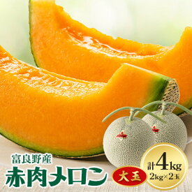 【ふるさと納税】富良野メロン大玉　赤肉メロン(2kg×2玉)計4kg【1408200】