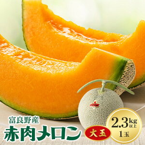 yӂ邳Ɣ[Łzxǖ상ʁ@ԓ1(2.3kgȏ)y1408202z