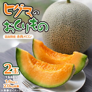 yӂ邳Ɣ[Łzy2026Ns\zqO}̂ xǖ상 (ԓ)2 v3.2kgȏ_  xǖ kC ӂ̃ 2 t[c ԓ ʕ  lC  