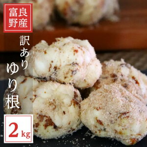 yӂ邳Ɣ[Łzy2025Ns\zkCxǖY@󂠂@荪@2kgy1550084z